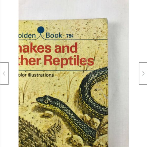 Vtg Snakes & Other Reptiles Golden Pocket Guide 1969 George Fichter - Picture 5 of 7